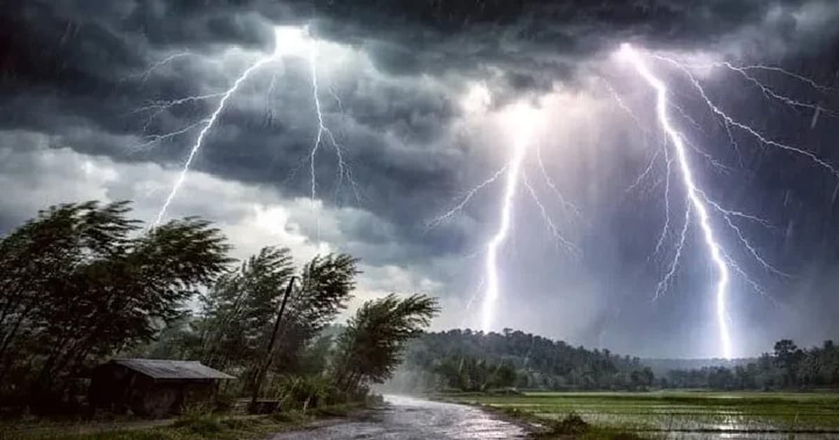 মঠবাড়িয়ায় বজ্রপাতে গরুসহ ৩ জনের মৃত্যু