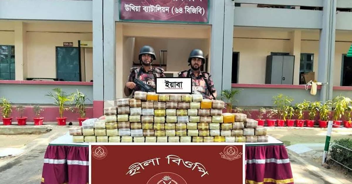 টেকনাফে বিজিবির অভিযানে ৮ লাখের বেশি ইয়াবা উদ্ধার