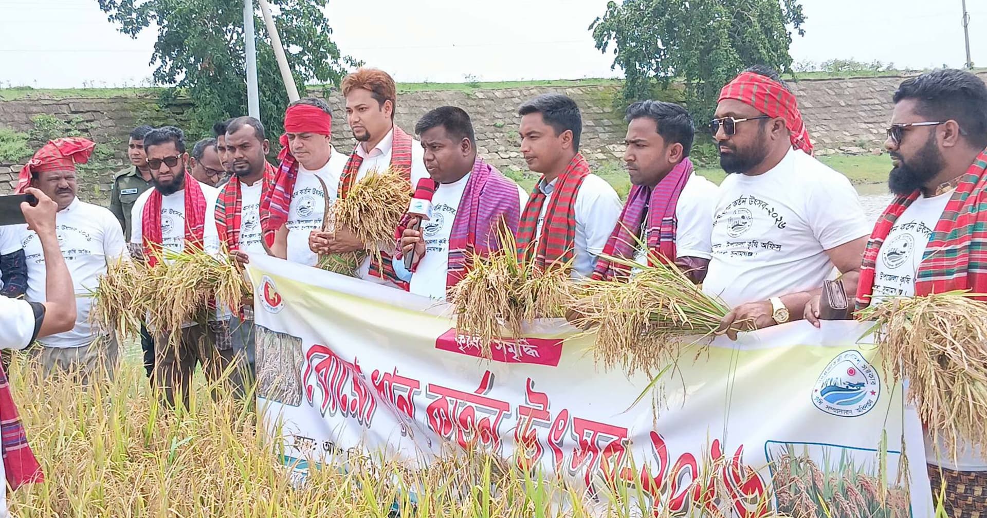 ধর্মপাশায় শুরু ফসল কাটার উৎসব