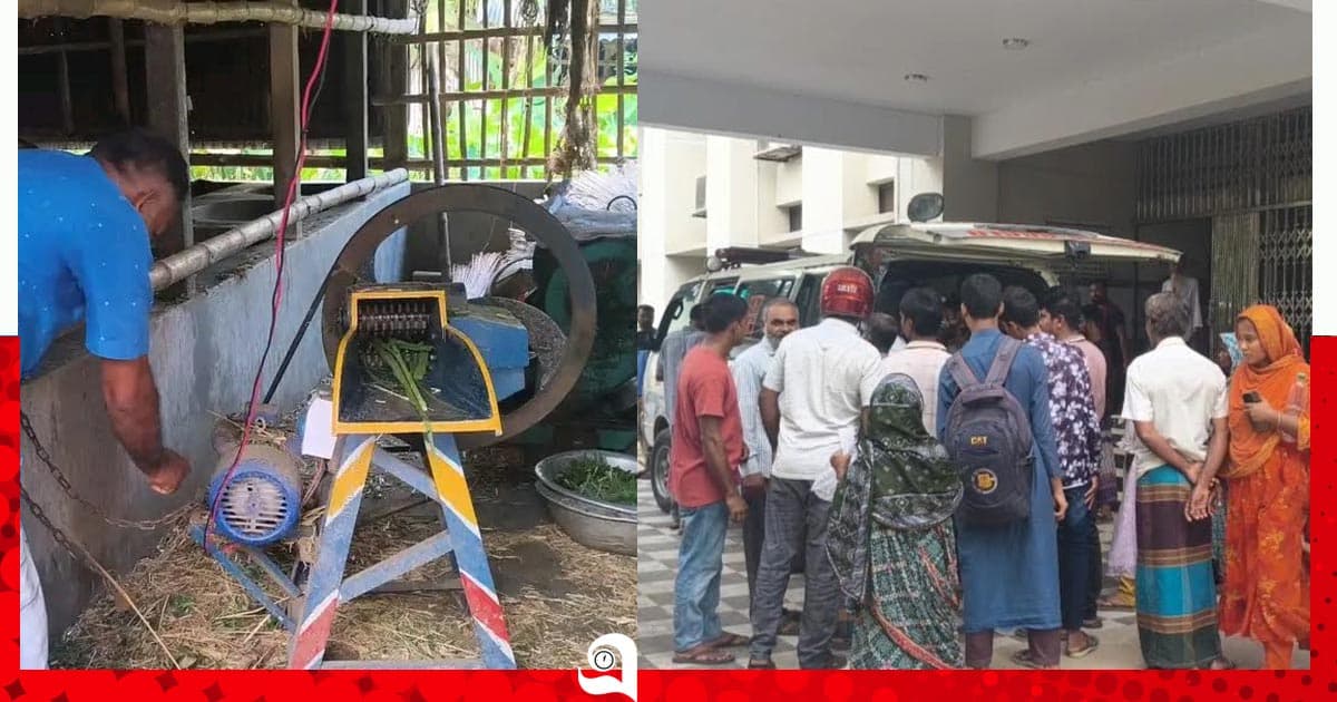 শৈলকুপায় ঘাস কাটা মেশিনে বিদ্যুৎস্পৃষ্টে কৃষক দম্পতির মৃত্যু