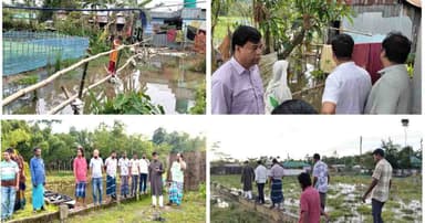 জৈন্তাপুরে জলাবদ্ধতায় ১০০ পরিবার পানিবন্দী, বড় দুর্ঘটনার শঙ্কা