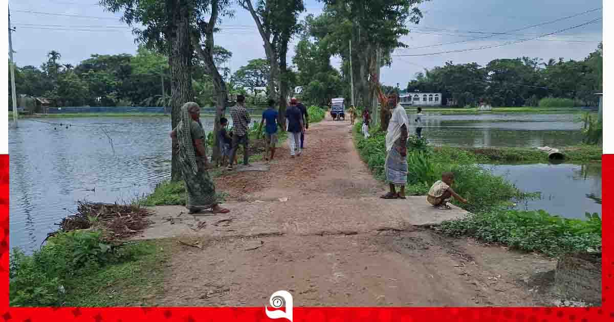 ময়মনসিংহে টিআর-কাবিখা-কাবিটার কাজ না করেই বরাদ্দ হরিলুট