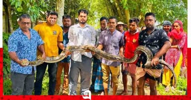বিশাল আকৃতির অজগর উদ্ধার করে লাউয়াছড়া বনে অবমুক্ত