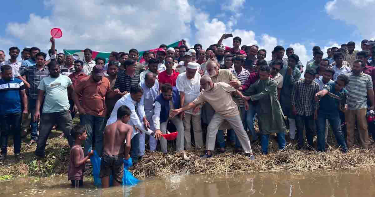 তাড়াশে যুবদল নেতা মাসুমের উদ্যোগে চলনবিলে ৫০ মন মাছের পোনা অবমুক্ত