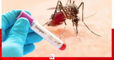 ডেঙ্গুতে আরও মৃত্যু ২