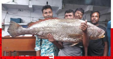 সাড়ে ৩ লাখ টাকায় 'ধাতিনা ভোল' বিক্রি