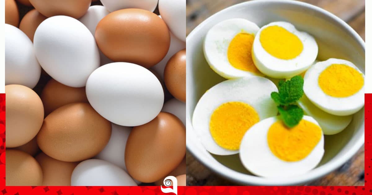 ডিম খাওয়ার সেরা পদ্ধতি কোনটি?