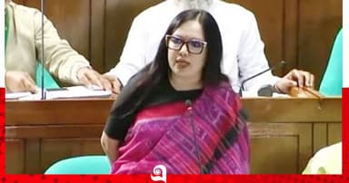 ৬৪ জেলায় ৬৪ জন স্বরাষ্ট্রমন্ত্রী থাকলে মন্দ হতো না : রুমিন ফারহানা