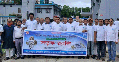 মির্জাগঞ্জে জাতীয় মৎস্য পক্ষ উদযাপিত