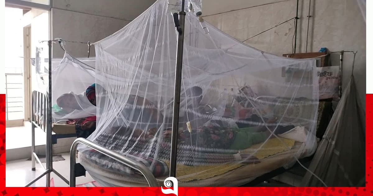 চাঁপাইনবাবগঞ্জে বাড়ছে ডেঙ্গু, একদিনে হাসপাতালে ভর্তি ৩৯