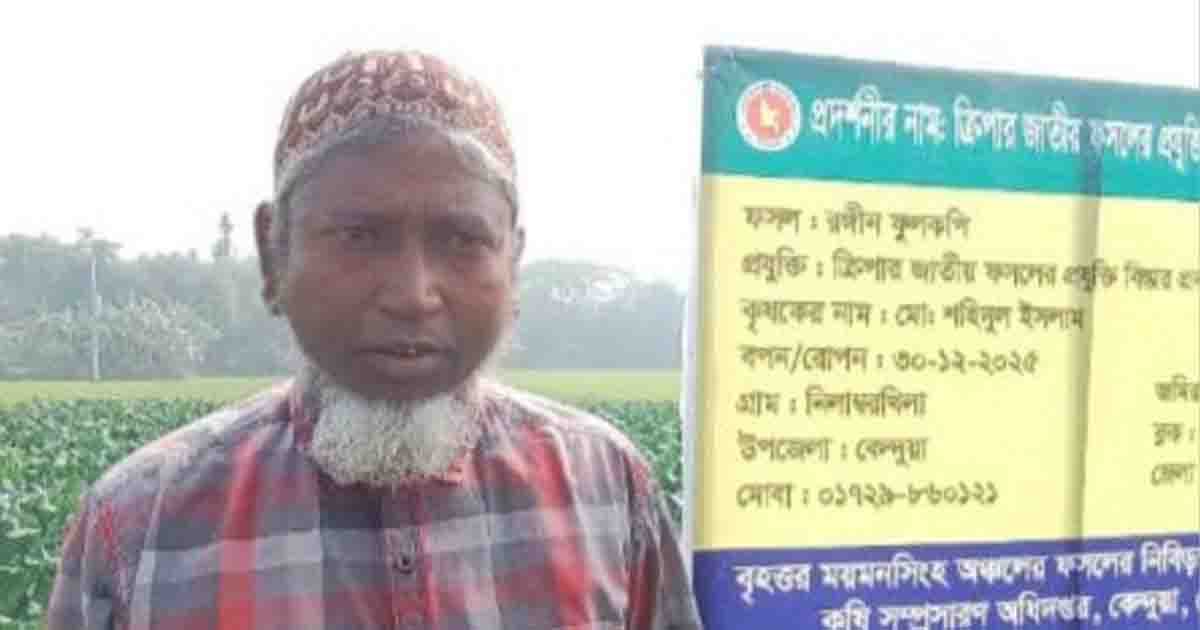 কেন্দুয়ায় রঙ্গীন ফুলকপি চাষে লাভবান কৃষক শহিদুল