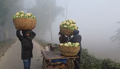 শৈত্যপ্রবাহ ছড়িয়ে পড়েছে সারা দেশে