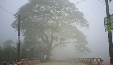 কুড়িগ্রামে শৈত্যপ্রবাহে স্থবির জনজীবন
