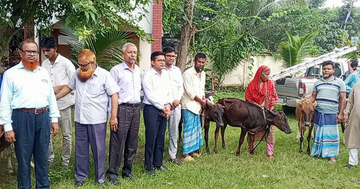 হতদরিদ্র ৬ পরিবারের মাঝে গাভী বিতরণ