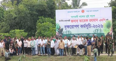 গাছ লাগিয়ে দায়িত্ব শেষ নয়, পরিচর্যায়ও হতে হবে সচেতন