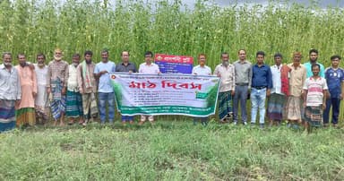 ফরিদপুরে  সবুজ সোনা’র মাঠ দিবসে কৃষকদের বিপুল সাড়া