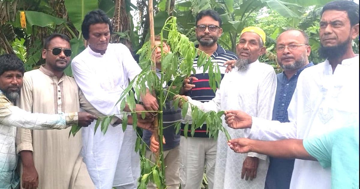 পরিবেশ রক্ষায় ৫০ হাজার বৃক্ষরোপণ কর্মসূচির উদ্বোধন