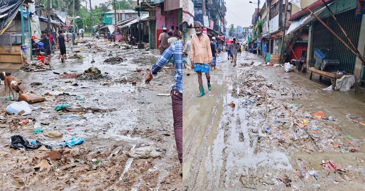 বন্যা পরবর্তী দুর্ভোগ, কাদামাটিতে বিপর্যস্ত লামা