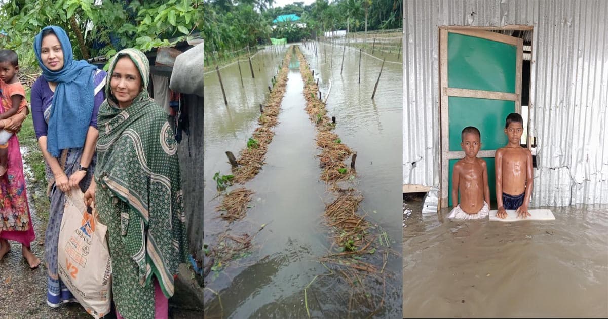 টানা বৃষ্টিতে চরফ্যাশনে দুর্ভোগ, বিপর্যস্ত জনজীবন