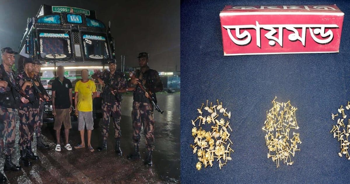 চেকপোস্টে ২১৬টি ডায়মন্ডের নাকফুল জব্দ, আটক ২
