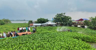 চলনবিলে কচুরিপানা পরিষ্কারের উদ্যোগ