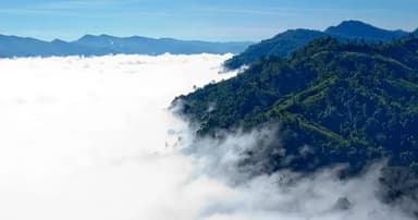 সিপ্পিপাড়ার মোরগঝুঁটি