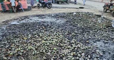 সাপাহারে পচা আমের স্তূপ, দুর্গন্ধে অতিষ্ঠ জনজীবন