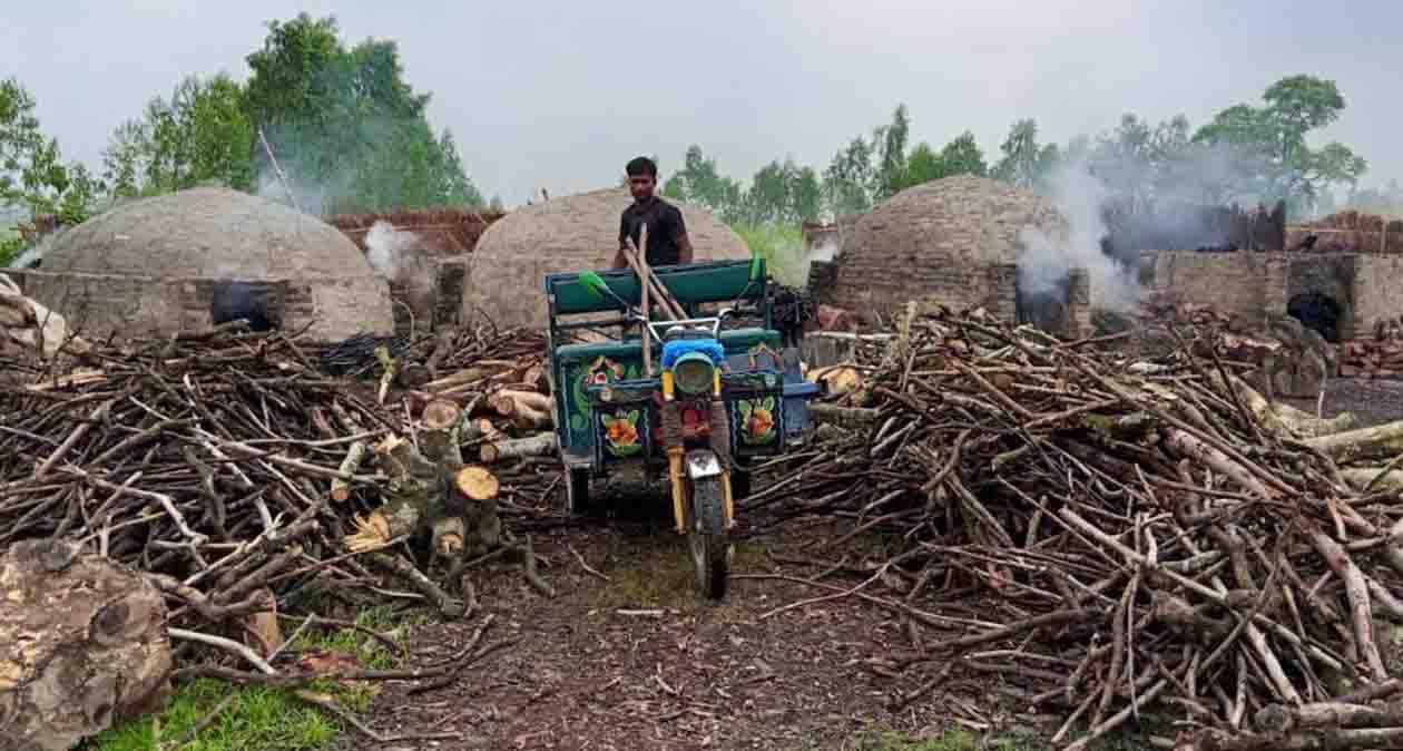 সাঘাটায় প্রশাসনের চোখ ফাঁকি দিয়ে অবৈধ কয়লা উৎপাদন