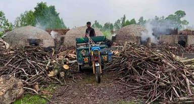 সাঘাটায় প্রশাসনের চোখ ফাঁকি দিয়ে অবৈধ কয়লা উৎপাদন