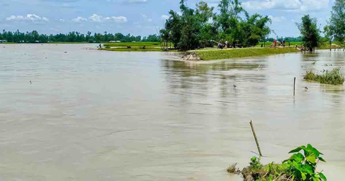তিস্তায় নতুন তীর সংরক্ষণ বাঁধ ভেঙে ৫০০ পরিবার পানিবন্দী
