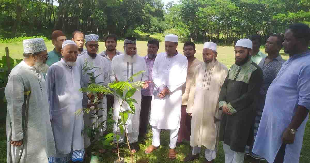 বাসযোগ্য বাংলাদেশ গড়তে বৃক্ষরোপণের বিকল্প নেই: মাওলানা হাবিবুর