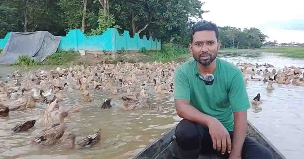 হাঁস পালনে চ্যালেঞ্জের মুখে ওসমানীনগরের সাদিকুজ্জামান