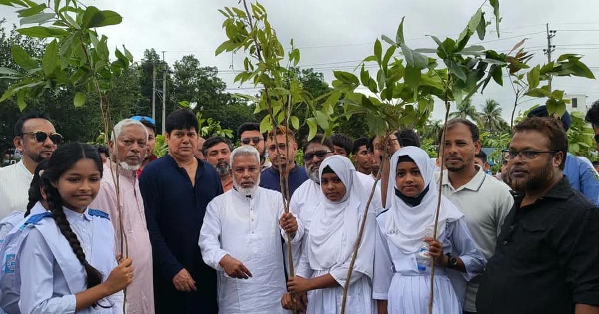 সোনারগাঁয়ে ১৯ হাজার ৩২০টি গাছের চারা বিতরণ