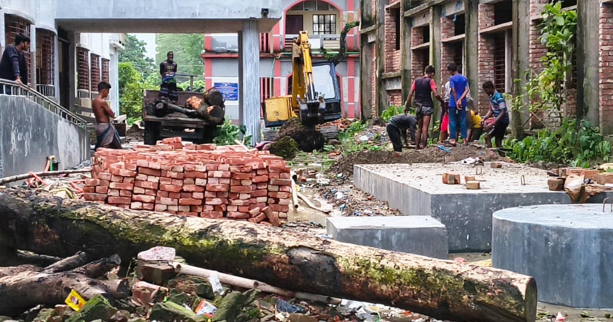 বিদ্যালয়ের গাছ কেটে বাড়িতে নিলেন প্রধান শিক্ষক