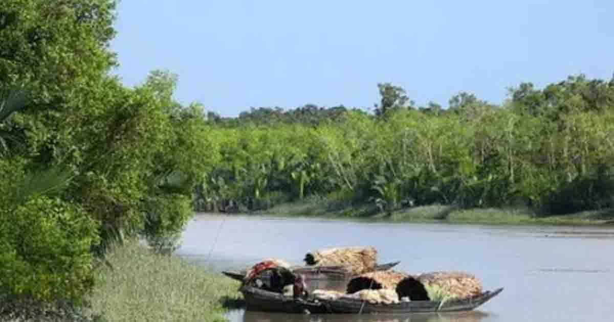 সুন্দরবনে অপহৃত ৫ জেলে মুক্তিপণ দিয়ে মুক্ত