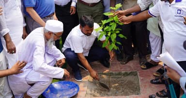 রাজশাহীতে ২ লাখ ৫০ হাজার গাছ লাগাবে রাসিক