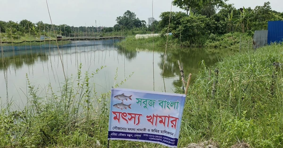 মাছের খামারে চাঁদা দাবির অভিযোগ, প্রাণনাশের হুমকি