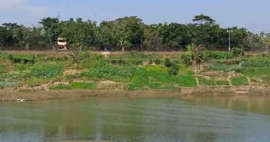 জকিগঞ্জ সীমান্তে বিএসএফের গুলিতে যুবক মৃত্যুর দাবি, উত্তেজনা