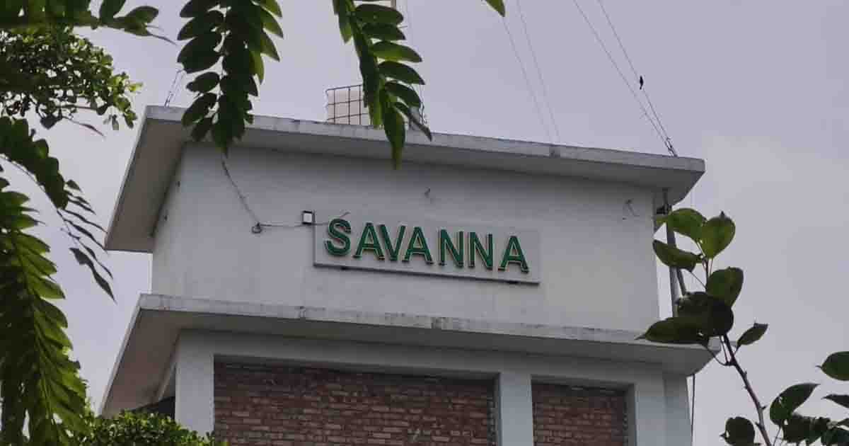 জৌলুসহীন বেনজীরের ‘সাভানা সাম্রাজ্য’