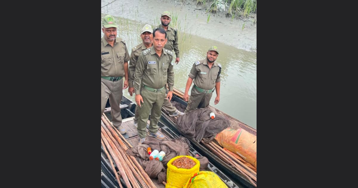 নিষেধাজ্ঞার মধ্যেও সুন্দরবনে দুর্বৃত্তদের তৎপরতা, আস্তানা ধ্বংস