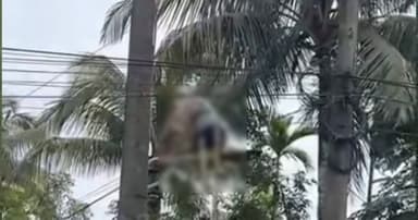 পতাকা টানাতে গিয়ে বিদ্যুৎস্পৃষ্ট কিশোর, গুরুতর আহত