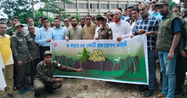 লালমোহনে বৃক্ষরোপণ কর্মসূচির উদ্বোধন