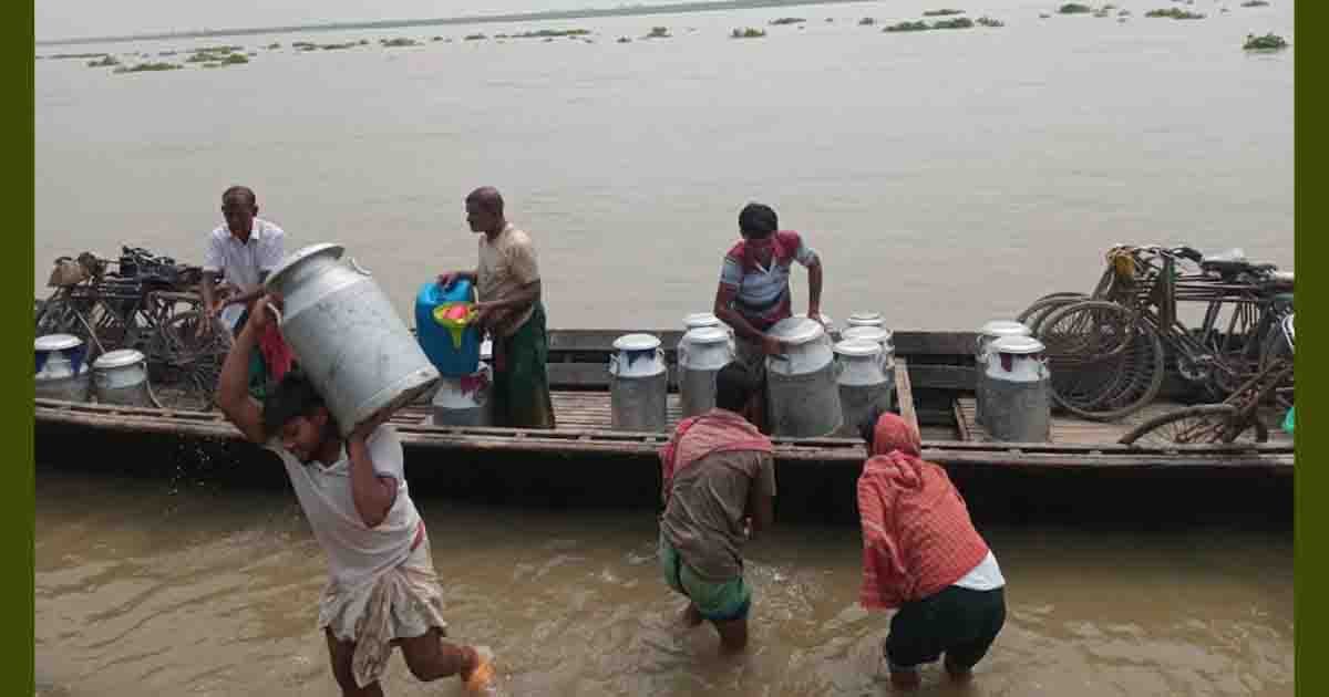 দাদন সিন্ডিকেটে জিম্মি বেড়ার চরাঞ্চলের  ক্ষুদ্র গো-খামারিরা