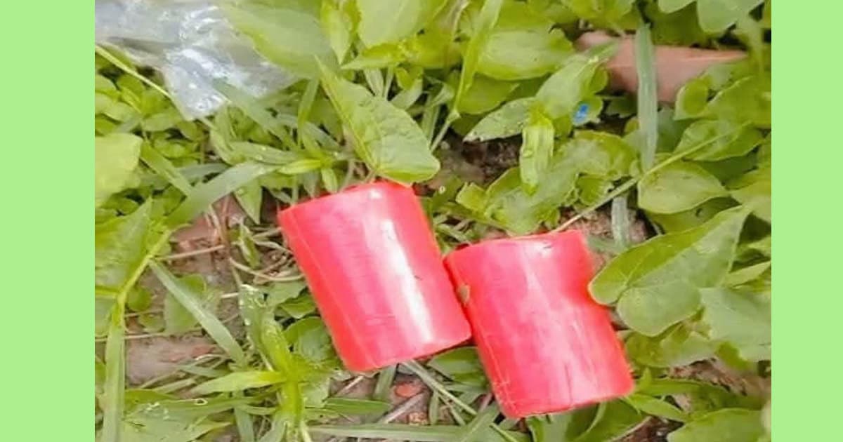 সাতক্ষীরায় বিএনপি অফিসের সামনে থেকে ককটেল উদ্ধার