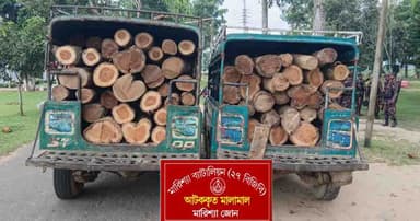 বিজিবির অভিযানে কাঠ ও চাঁদের গাড়ি জব্দ