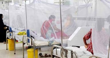 ডেঙ্গু আক্রান্ত হয়ে হাসপাতালে ভর্তি আরো ১৮০