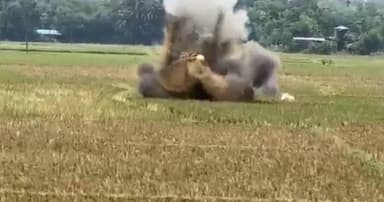 ঈদগাঁওয়ে উদ্ধার হওয়া ৩ কামানের গোলা ধ্বংস