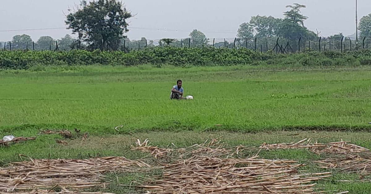 সীমান্তে আবারও পুশইনের চেষ্টা, বিজিবির বাধা