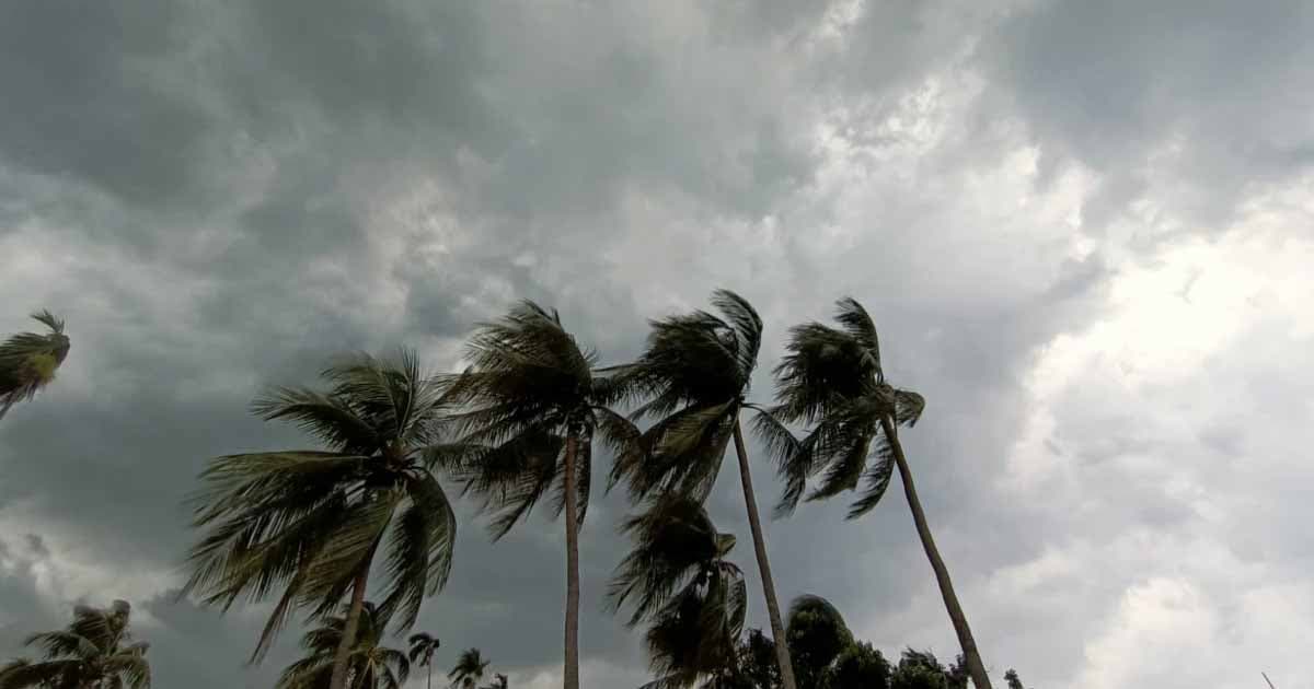 ১২ অঞ্চলে ঝড়-বৃষ্টির সম্ভাবনা
