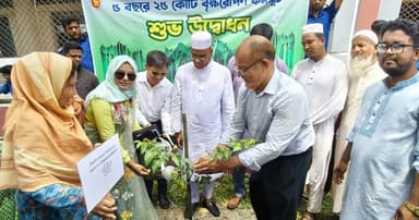 গংগাচড়ায় বৃক্ষরোপণ কর্মসূচির উদ্বোধন